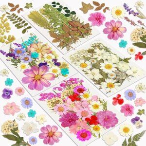 Dried Flowers, 100Pcs Pressed Flowers for Craft